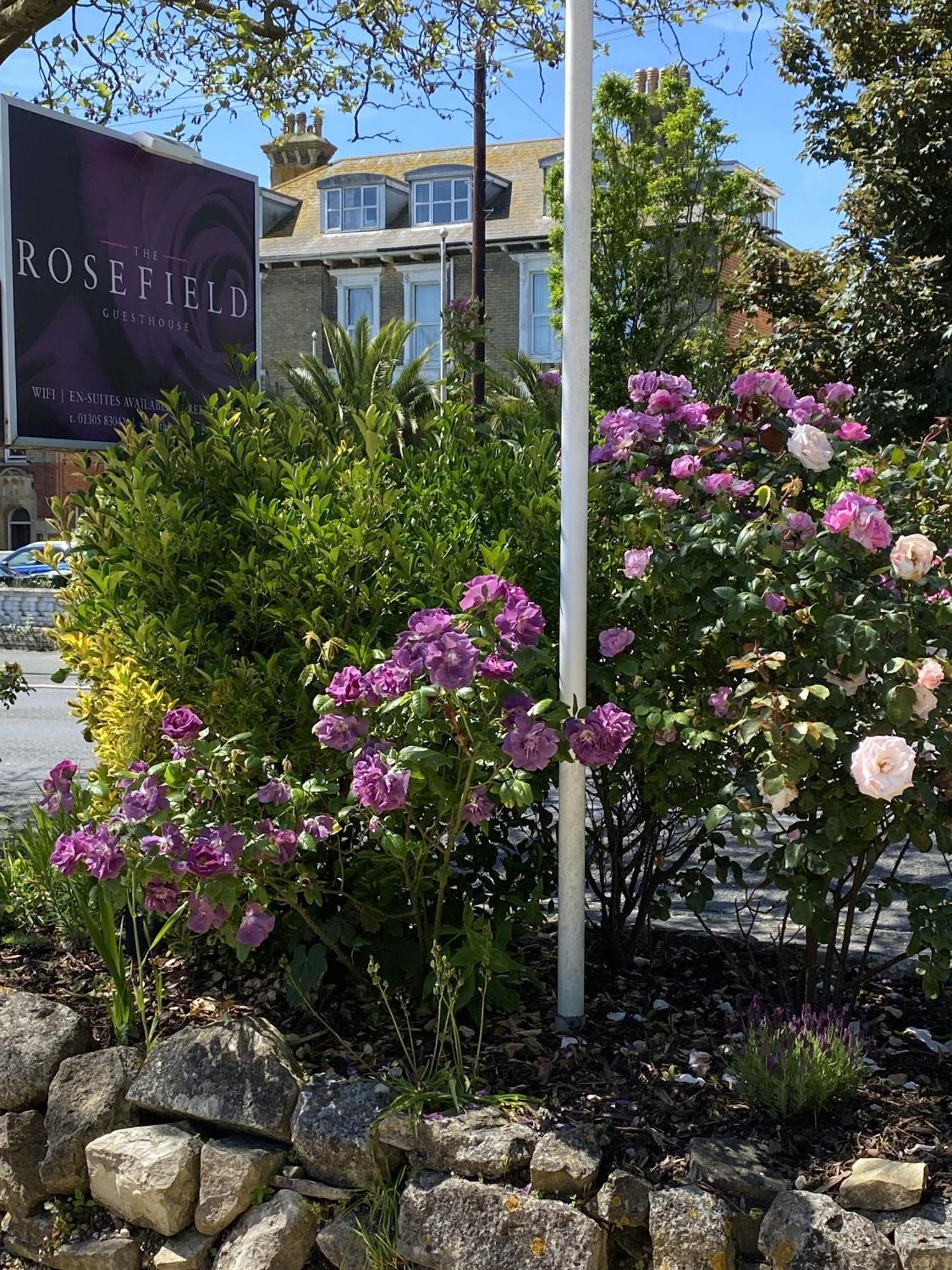 The Rosefield Hotel Weymouth Eksteriør billede